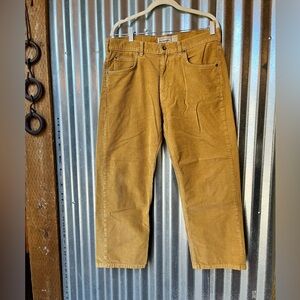Patagonia Organic Cotton Corduroy Pants